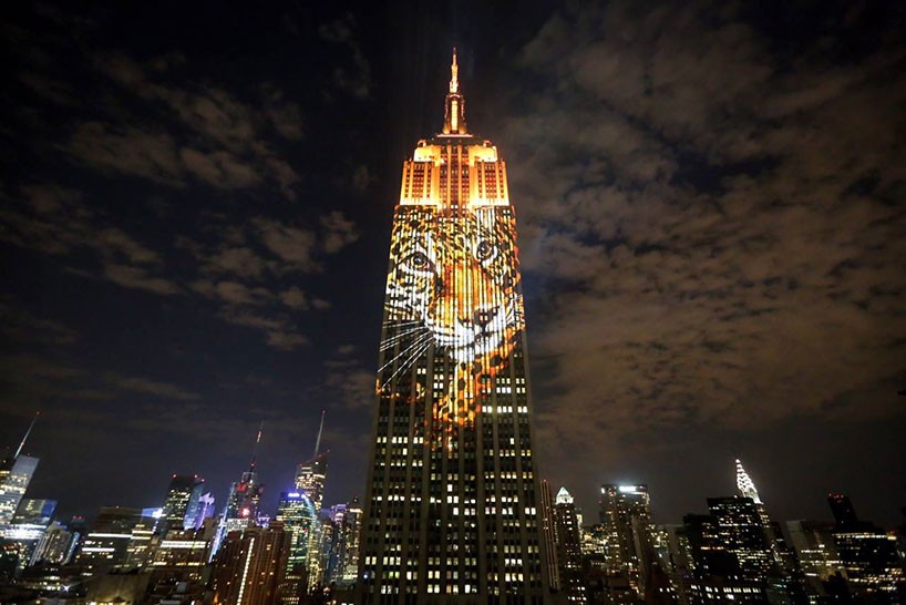 Racing Extinction endangered-species projection on the Empire State Building, New York